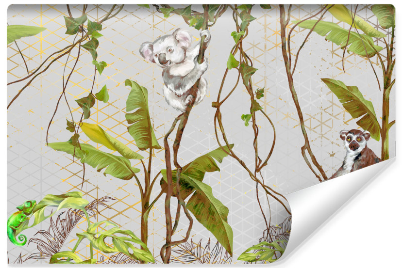 Fototapeta Dziecięca KOALA Lemur Tropikalny Las 312x219cm 175026