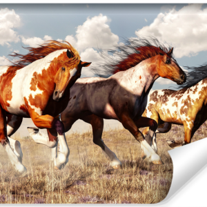 Fototapeta Dziki Zachód KONIE W Galopie 3D 312x219cm 250448 Fototapeta Dziki Zachód KONIE W Galopie 3D 312x219cm 250448