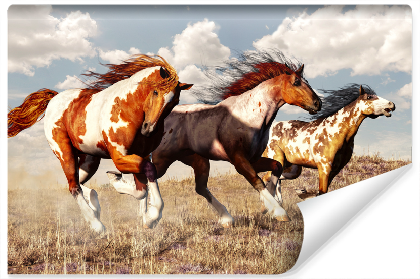 Fototapeta Dziki Zachód KONIE W Galopie 3D 400x280cm 250349
