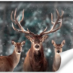 Fototapeta Dzikie Zwierzęta JELEŃ Las 3D 135x90cm 249262 Fototapeta Dzikie Zwierzęta JELEŃ Las 3D 135x90cm 249262