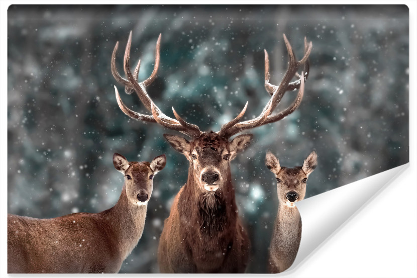 Fototapeta Dzikie Zwierzęta JELEŃ Las 3D 90x60cm 249312