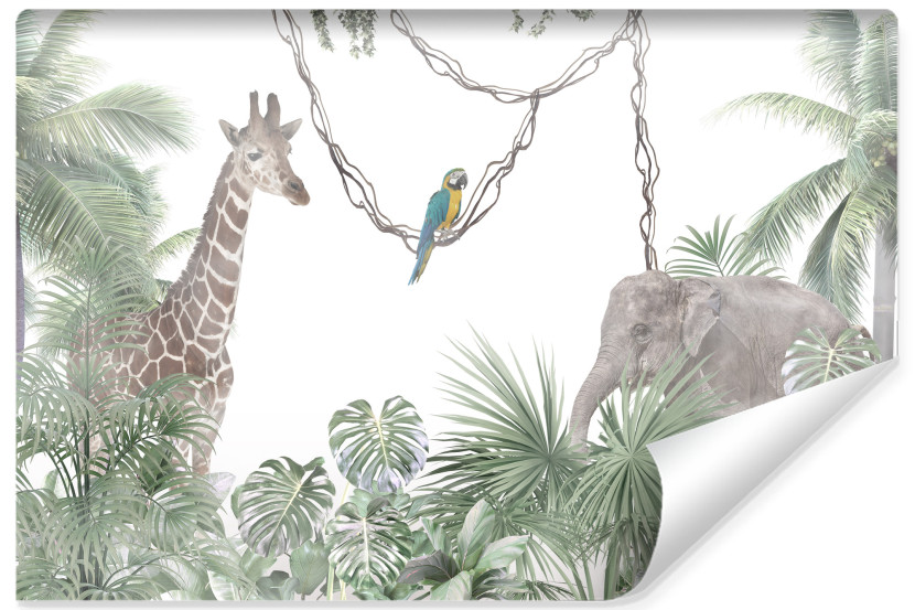 Fototapeta Dzikie ZWIERZĘTA Las We Mgle 300x210cm 168738
