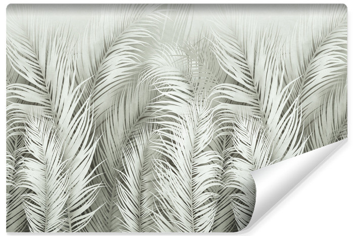 Fototapeta Egzotyczne Liście PALMOWE Natura 312x219cm 308397