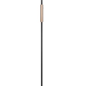 Lampa podłogowa CELESTE brązowo-czarna LED 1x15W Ciepła biel 1750lm Trio 1050453 Lampa podłogowa CELESTE brązowo-czarna LED 1x15W Ciepła biel 1750lm Trio 1050453