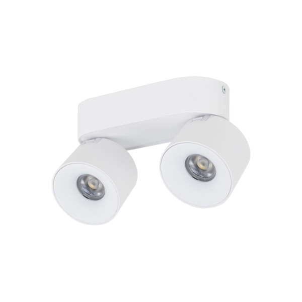 Lampa reflektor spot LED 20W SPARK DUO WHITE CCT 18171 TK Lighting 815667