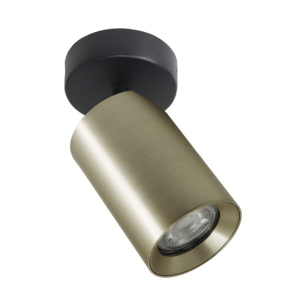 Lampa reflektor spot na 2 sposoby montażu TORE TLS006-GLD Zuma Line 733962